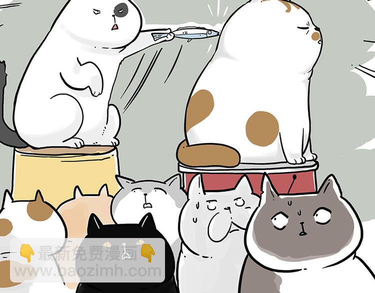 🍘吾皇巴扎黑 第211话 来吃瓜 第14页