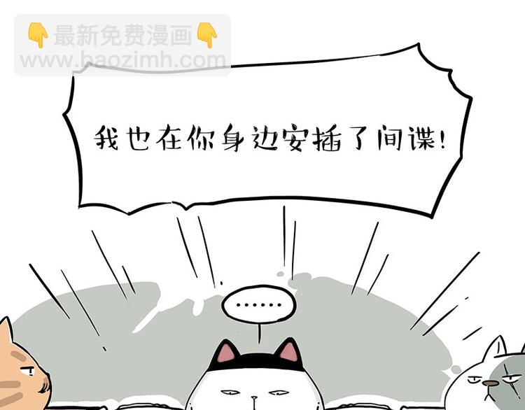 🍘吾皇巴扎黑 第211话 来吃瓜 第17页