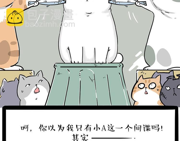 🍘吾皇巴扎黑 第211话 来吃瓜 第18页