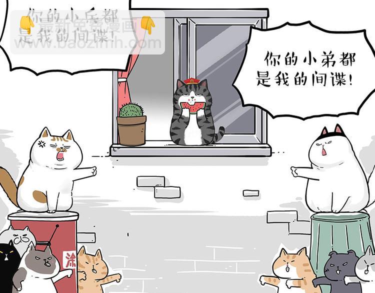 🍘吾皇巴扎黑 第211话 来吃瓜 第37页