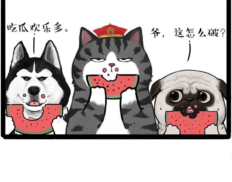🍘吾皇巴扎黑 第211话 来吃瓜 第41页