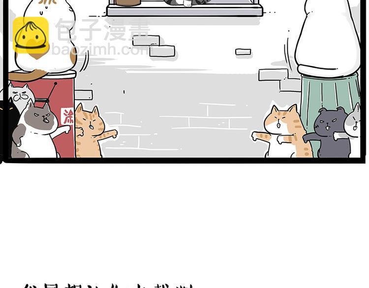 🍘吾皇巴扎黑 第211话 来吃瓜 第7页