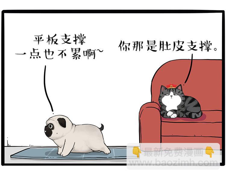 🍘吾皇巴扎黑 第215话 狗不要了 第2页