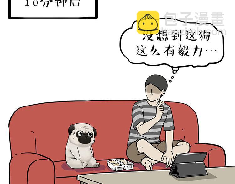 🍘吾皇巴扎黑 第215话 狗不要了 第22页