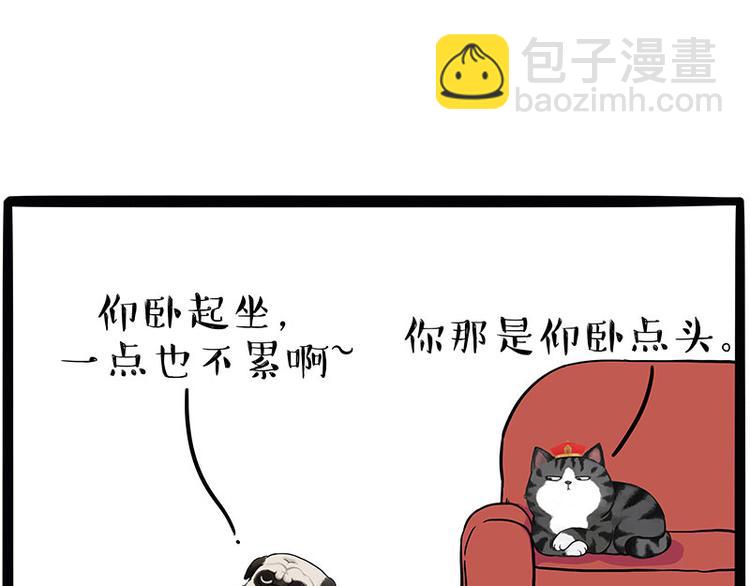 🍘吾皇巴扎黑 第215话 狗不要了 第3页