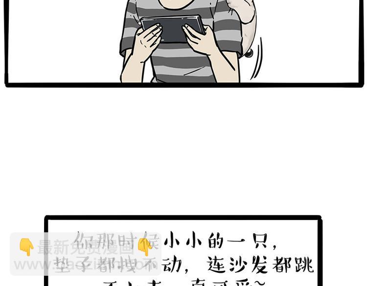 🍘吾皇巴扎黑 第215话 狗不要了 第39页