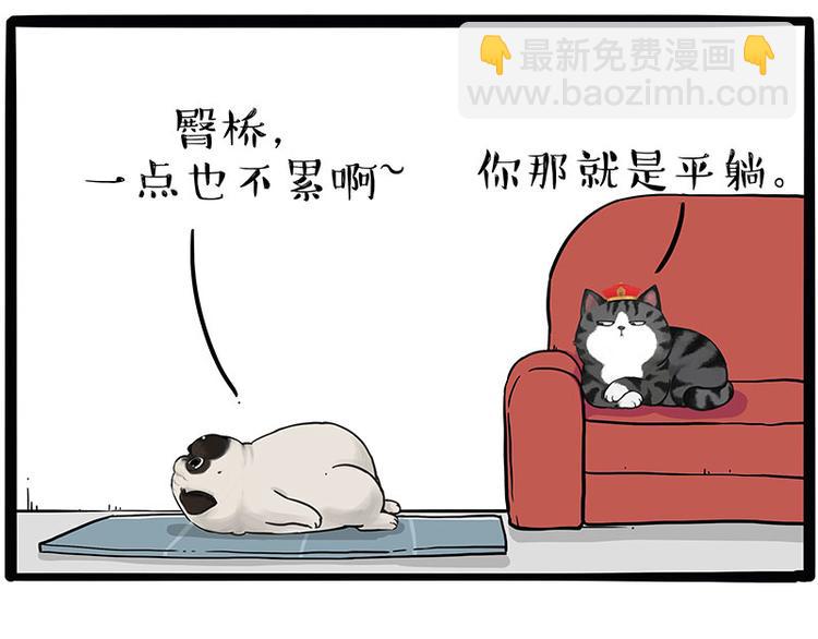 🍘吾皇巴扎黑 第215话 狗不要了 第6页