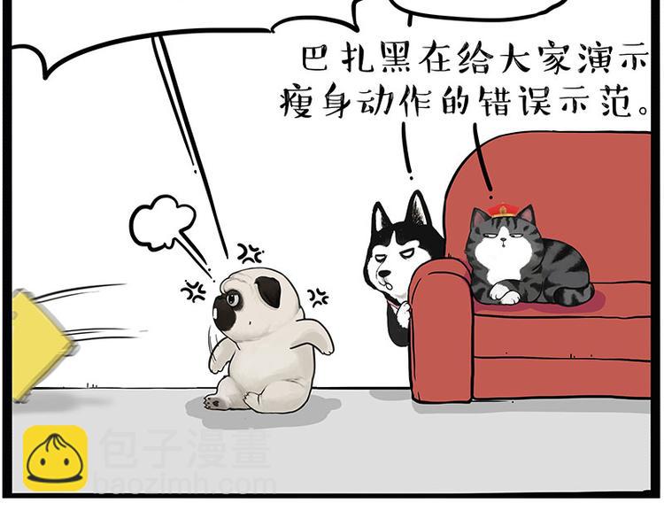 🍘吾皇巴扎黑 第215话 狗不要了 第9页