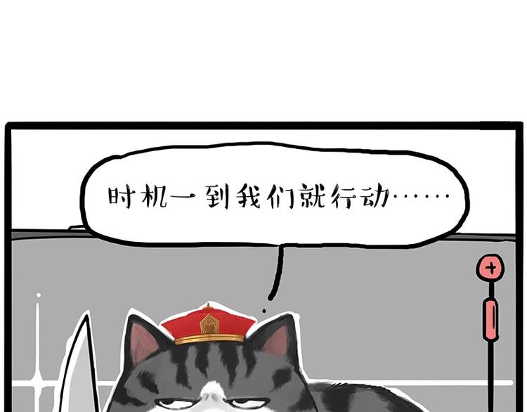 🍘吾皇巴扎黑 第217话 联手“作案” 第11页