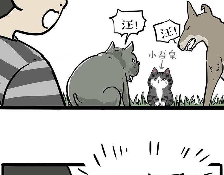 🍘吾皇巴扎黑 第219话 少年侠.你给我爬！ 第35页