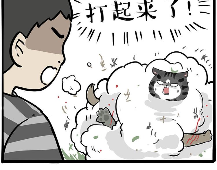 🍘吾皇巴扎黑 第219话 少年侠.你给我爬！ 第36页
