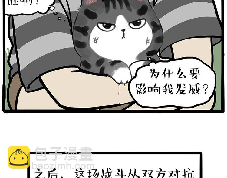 🍘吾皇巴扎黑 第219话 少年侠.你给我爬！ 第40页