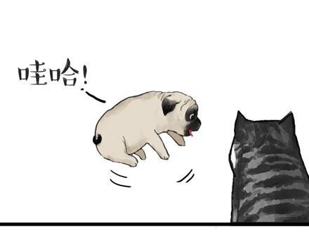 🍘吾皇巴扎黑 第23话 这是巴扎黑的专场！ 第1页