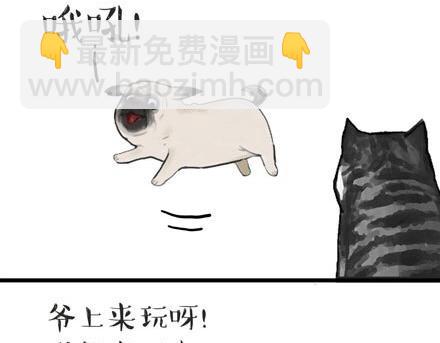🍘吾皇巴扎黑 第23话 这是巴扎黑的专场！ 第2页