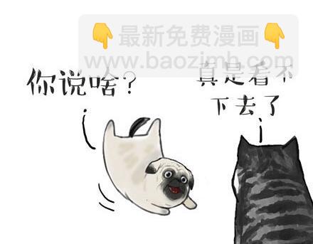 🍘吾皇巴扎黑 第23话 这是巴扎黑的专场！ 第5页