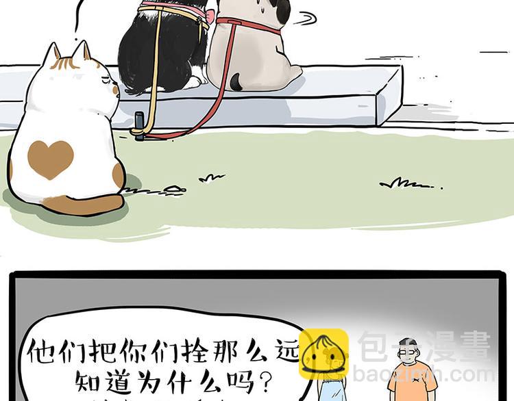 🍘吾皇巴扎黑 第223话 狗知识增加了 第11页
