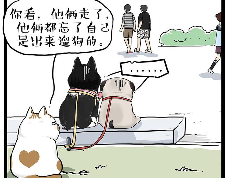 🍘吾皇巴扎黑 第223话 狗知识增加了 第15页