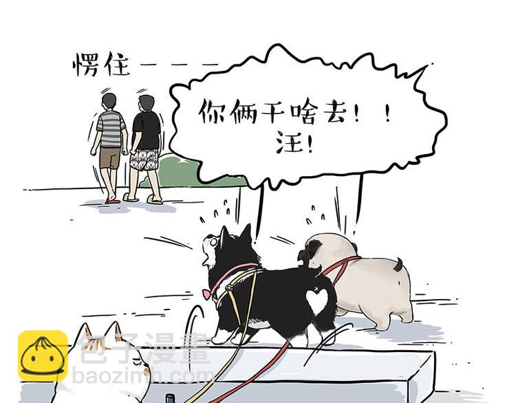 🍘吾皇巴扎黑 第223话 狗知识增加了 第17页