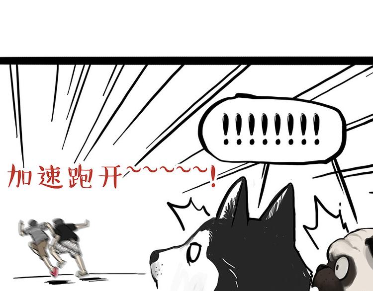 🍘吾皇巴扎黑 第223话 狗知识增加了 第20页