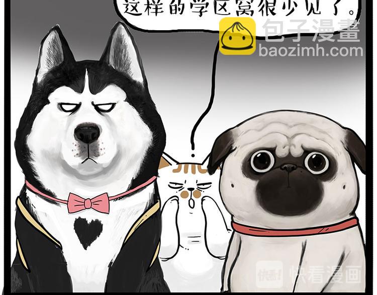 🍘吾皇巴扎黑 第223话 狗知识增加了 第28页