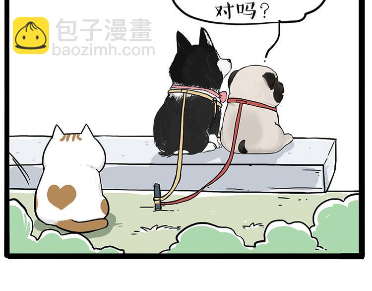 🍘吾皇巴扎黑 第223话 狗知识增加了 第3页