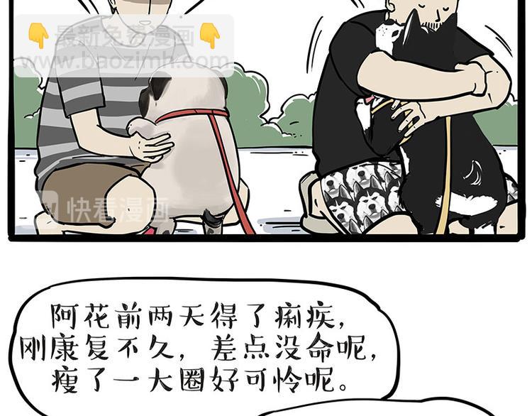 🍘吾皇巴扎黑 第223话 狗知识增加了 第38页