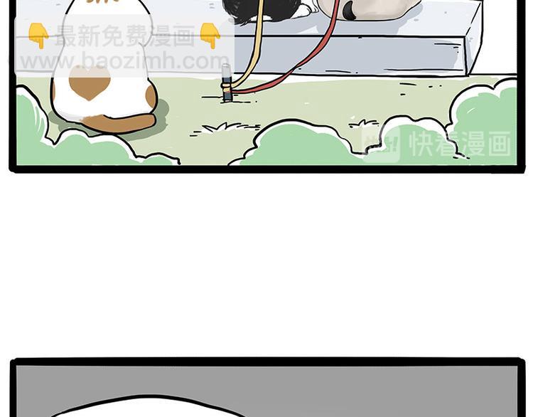 🍘吾皇巴扎黑 第223话 狗知识增加了 第8页