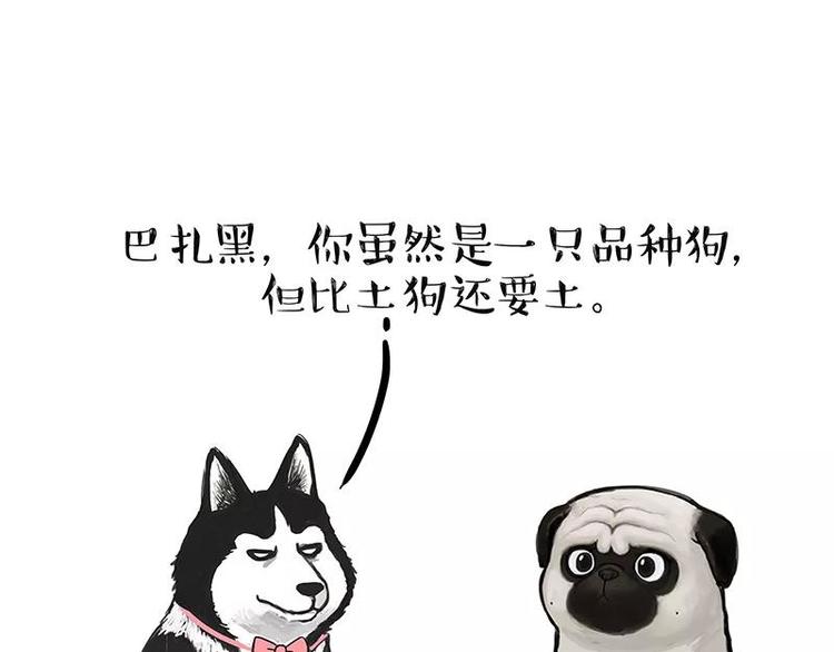 🍘吾皇巴扎黑 第227话 丑狗宿命 第1页