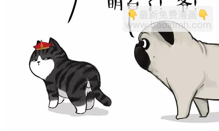 🍘吾皇巴扎黑 第227话 丑狗宿命 第12页