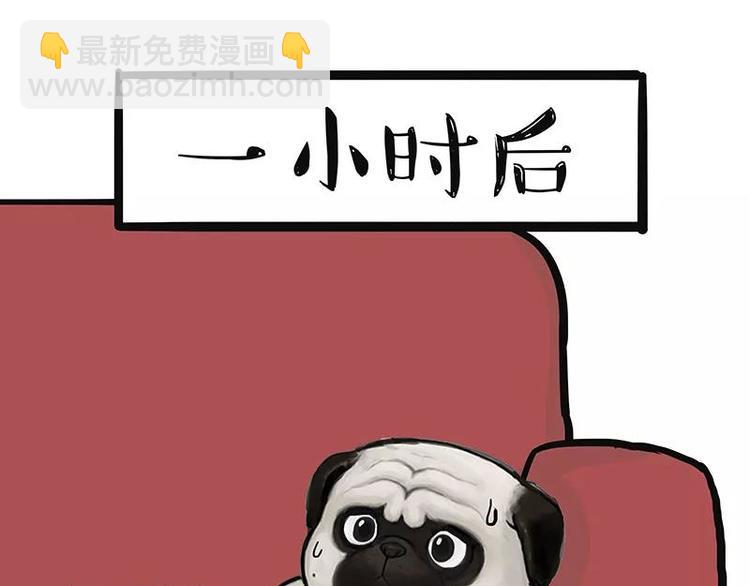 🍘吾皇巴扎黑 第227话 丑狗宿命 第13页