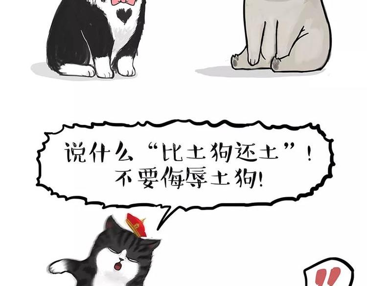 🍘吾皇巴扎黑 第227话 丑狗宿命 第2页