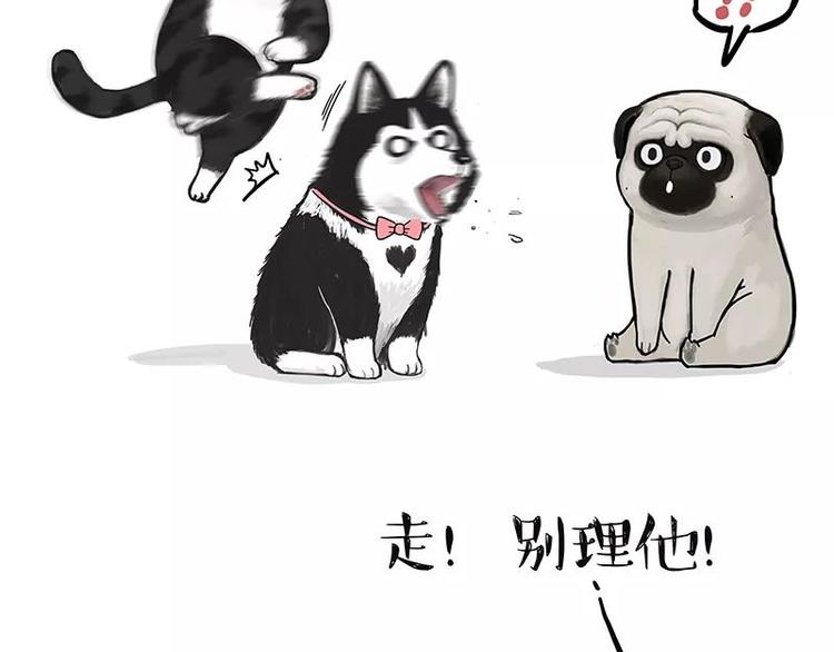 🍘吾皇巴扎黑 第227话 丑狗宿命 第3页