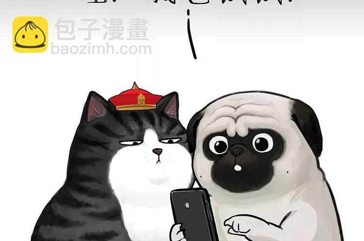 🍘吾皇巴扎黑 第227话 丑狗宿命 第33页