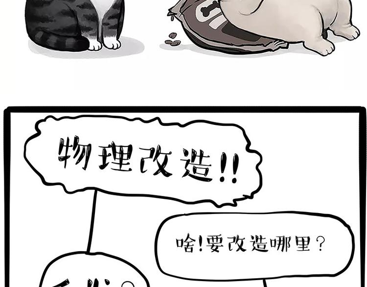 🍘吾皇巴扎黑 第227话 丑狗宿命 第43页