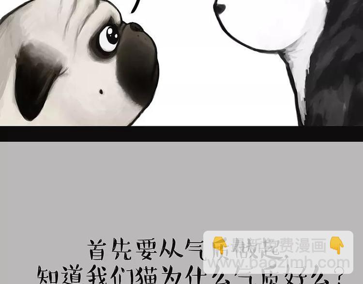 🍘吾皇巴扎黑 第227话 丑狗宿命 第8页