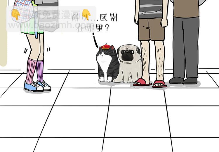🍘吾皇巴扎黑 第229话 条纹衫是你的命 第17页