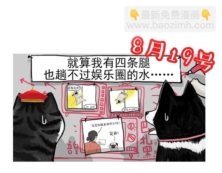🍘吾皇巴扎黑 第229话 条纹衫是你的命 第34页