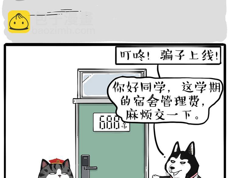 🍘吾皇巴扎黑 第231话 防骗指南 第17页