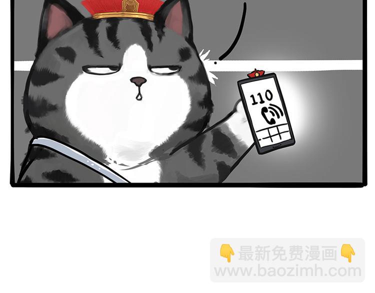 🍘吾皇巴扎黑 第231话 防骗指南 第19页