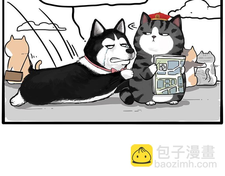 🍘吾皇巴扎黑 第231话 防骗指南 第37页
