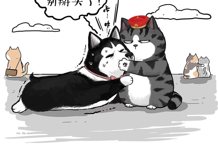 🍘吾皇巴扎黑 第231话 防骗指南 第40页