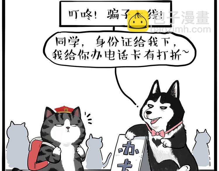 🍘吾皇巴扎黑 第231话 防骗指南 第43页