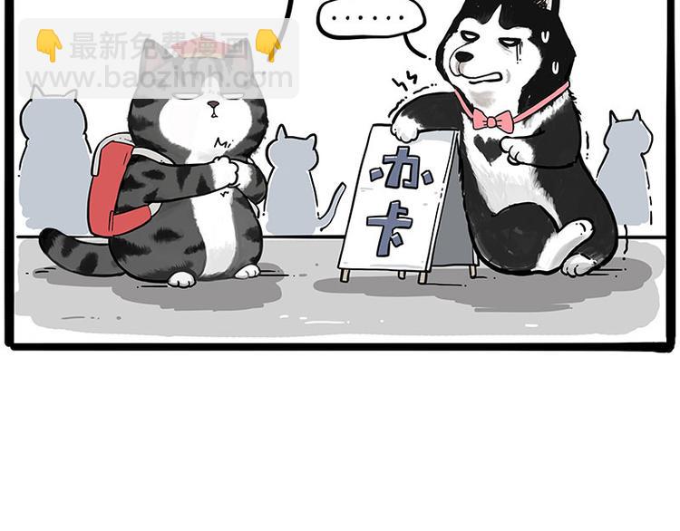 🍘吾皇巴扎黑 第231话 防骗指南 第45页
