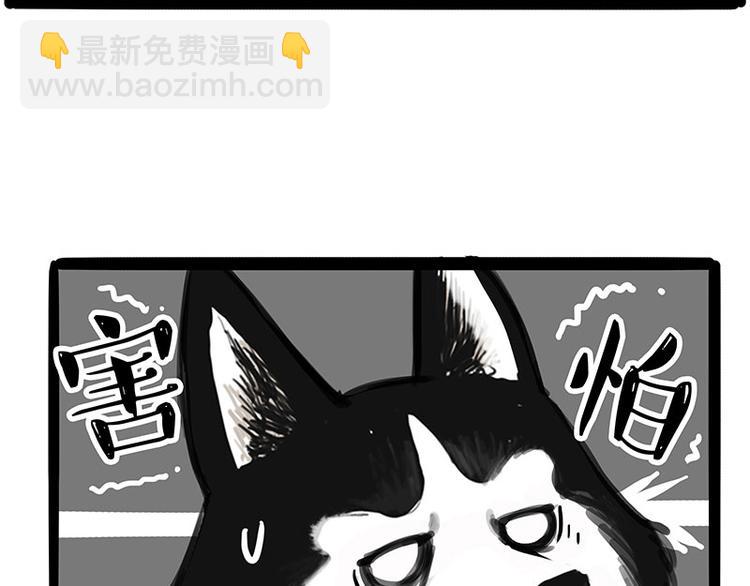 🍘吾皇巴扎黑 第231话 防骗指南 第6页