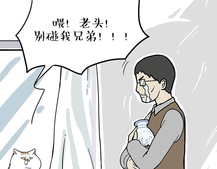🍘吾皇巴扎黑 第235话 是亲生的没错吧？ 第33页