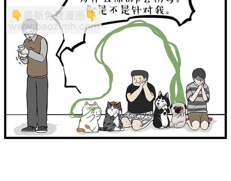 🍘吾皇巴扎黑 第235话 是亲生的没错吧？ 第37页