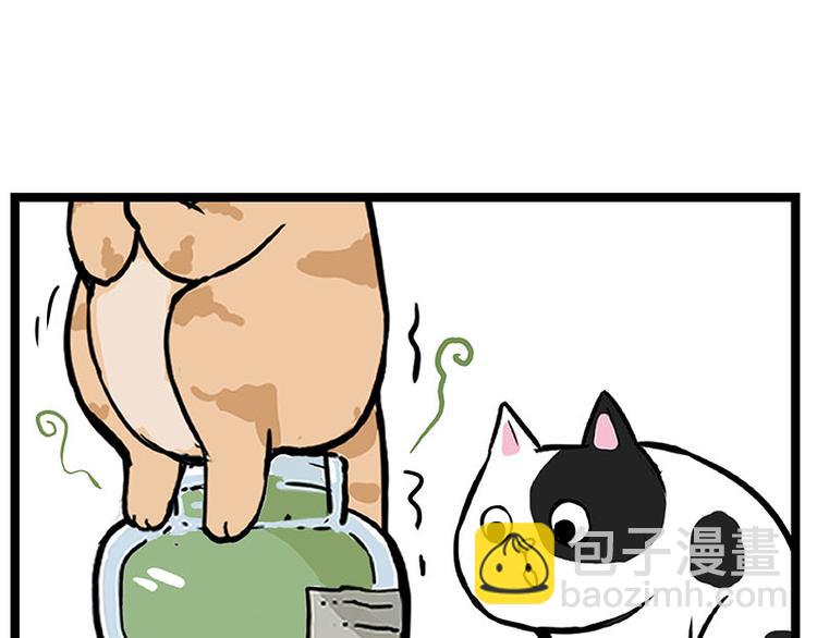 🍘吾皇巴扎黑 第239话 “屁”的战争 第11页