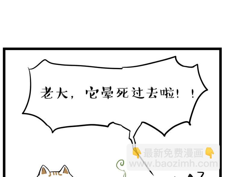 🍘吾皇巴扎黑 第239话 “屁”的战争 第16页