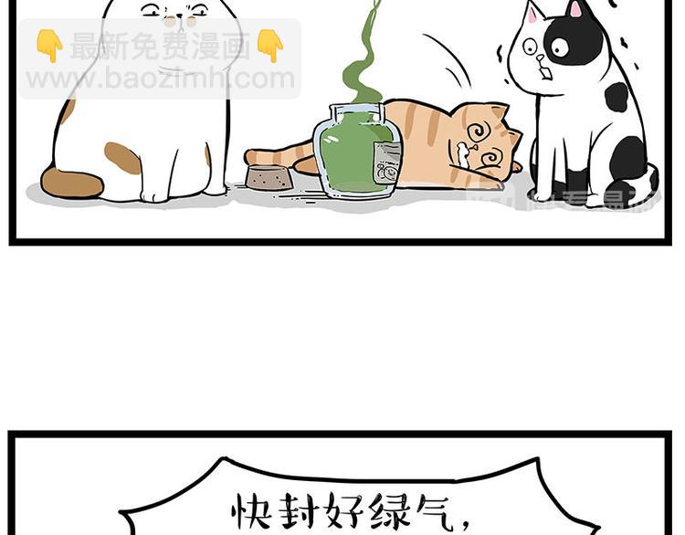 🍘吾皇巴扎黑 第239话 “屁”的战争 第17页