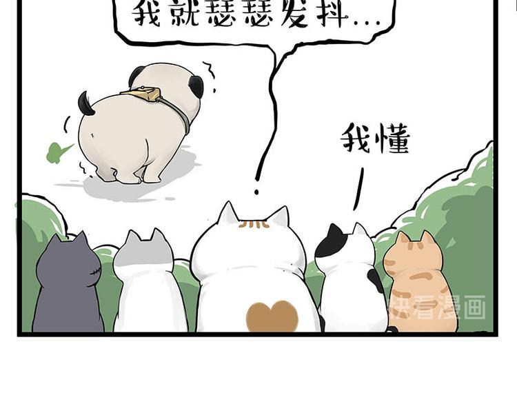 🍘吾皇巴扎黑 第239话 “屁”的战争 第25页
